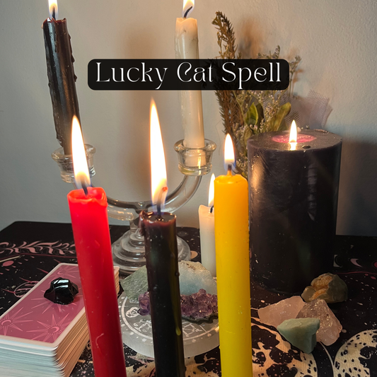 Lucky Cat Spell
